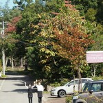 ペンションプチポワ - 車が見えなくなるまで手をふってお見送り。