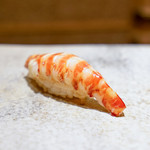 鮨 さいとう - 車海老