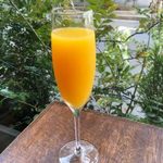 mimosa