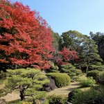 京都洛東迎賓館 レストラン秀岳 - 