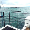 Marine＆Farm　SAJIMA