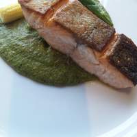 IL PINOLO SKY TERRACE 横浜 - 10月のおすすめランチ　サーモンのカキのピューレソース