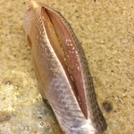 すし家 一柳 - 小肌