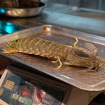 海王老記粥面菜館 - 