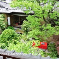東京 芝 とうふ屋うかい - 