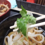 山田うどん食堂 - （2017年01月）