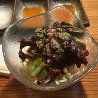 鴨川たかし - 