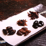 6种昆虫比较吃套餐〈初级〉〈高级〉/10种昆虫比较吃套餐
