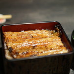 うなぎ ひら井 - うな重