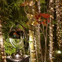 Terrace Dining TANGO - 