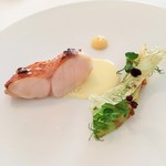 相模湾のメヌケ レモンソース おぼろ昆布