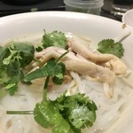 アジアンバルフロッグス - 