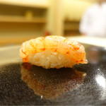 日本橋蛎殻町 すぎた - 2017/2_シマエビ