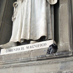 B4 Astoria Firenze - ロレンツォの鳩も寒そう〜♡