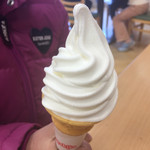 スガキヤ - 料理写真: