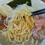 中華そば 七麺鳥 - 浅草開化楼の中太麺