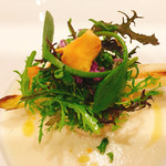 プレヴナンス - ホタテのポワレ　ホワイトアスパラガス添