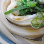 讃岐うどん 志のん - 