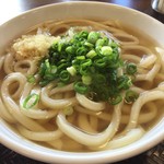 香川製麺所 - かけうどん大