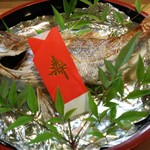Nishiki Hatanaka - 祝い鯛  要予約