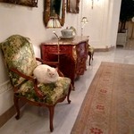 Epicure - ファラオンかクレオパトラ