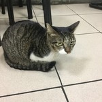 世界豆漿大王 - 