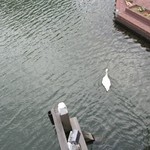 ホテルヨーロッパ - 