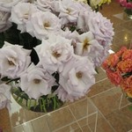 ホテルヨーロッパ - 