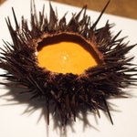 アトリエドアイ - ランチコース 3456円 のウニの貴婦人風