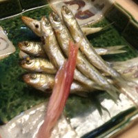 貴久政 - 