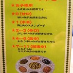 カトマンドゥカリーPUJA - 