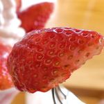 ウッドベリーズ - まずは、フレッシュな美味しさと、酸味と甘味のバランスが秀逸なとちおとめを堪能。