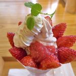 ウッドベリーズ - 「完熟とちおとめのパフェ」の上には生クリーム、酸味強めないちごジャム、いちご果肉入りフローズンヨーグルト、完熟とちおとめがセット！