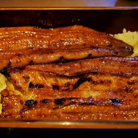 鰻割烹まえはら - 鰻重（一匹分）