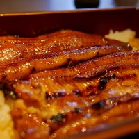 鰻割烹まえはら - 鰻重（一匹分）