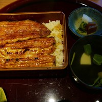 鰻割烹まえはら - 鰻重（一匹分）