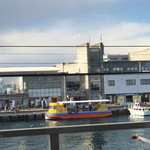 三崎港　海の幸 - 