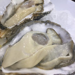 ビストロ ティアボ - 