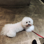 PACE - January 5, 2017