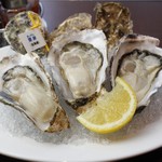 Oyster Bar ジャックポット - 