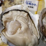 Oyster Bar ジャックポット - 