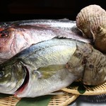 居酒屋 山路 - 長崎県 生月島の漁場から直送の鮮魚