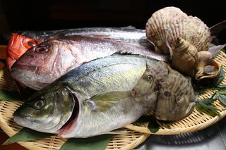 Izakaya Yamaji - 長崎県 生月島の漁場から直送の鮮魚