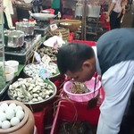 HAI LUA - 生きた魚介がわんさか