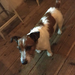 マンマルイーザステーブル - 