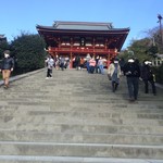 鎌倉 峰本 - 鶴岡八幡宮。