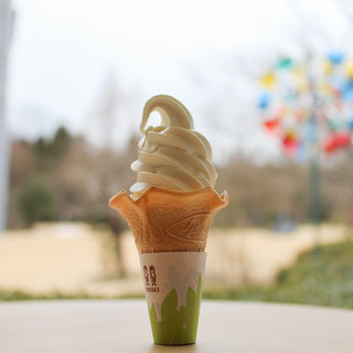 彫刻の森美術館カフェ_0