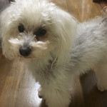 旬美にしかわ - 少し不機嫌になってしまいました^^;