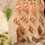 桜川 - 松かさ造り