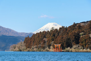 Salon de the ROSAGE - 鳥居＆芦ノ湖＆富士山☆